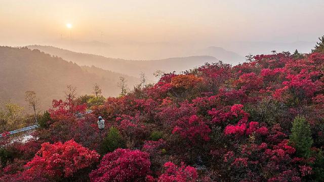 美到窒息！太行一号旅游公路铺开秋日油画长卷