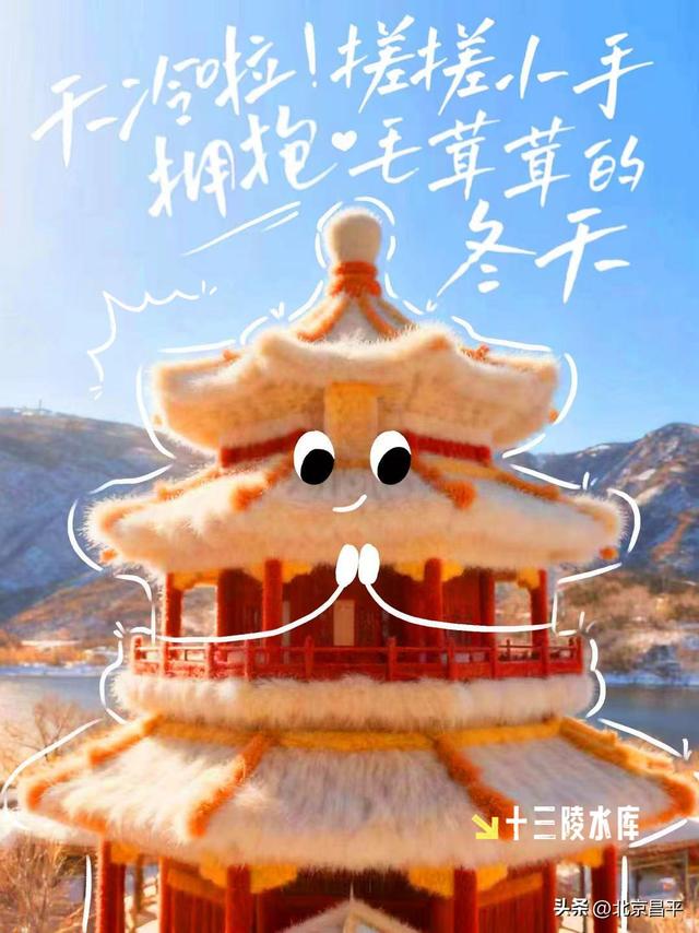 降温啦！一起拥抱“毛茸茸”的冬天