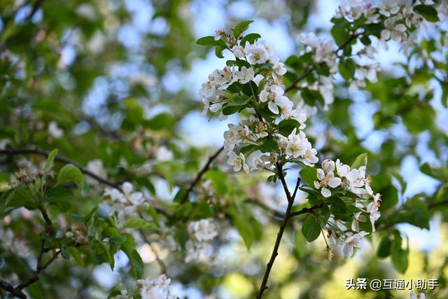 腾龙28-75mm F/2.8 Di III VXD G2 镜头评测——可靠的高性价比之选