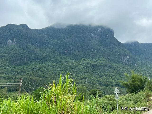 阳山又有一景