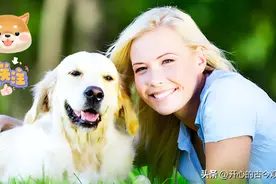 独一无二的狗狗名字，人类最忠实的朋友图片