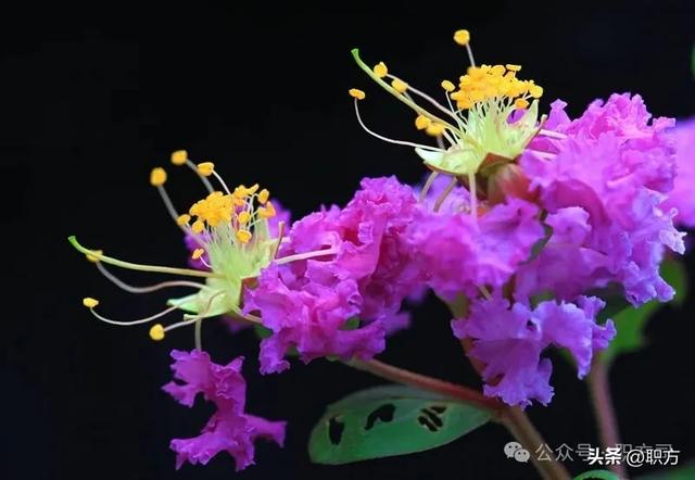 济源市：王屋嵯峨济水悠，愚公壮志贯千秋