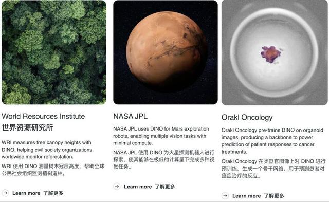 Meta视觉基座DINOv3王者归来:自监督首次全面超越弱监督,商用开源
