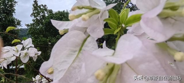《晨起一个小动作：意能让上中老年人身体越来越好，快试试》