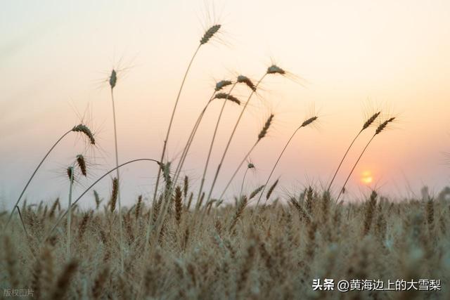 邯郸各辖区名称由来及历史沿革简要