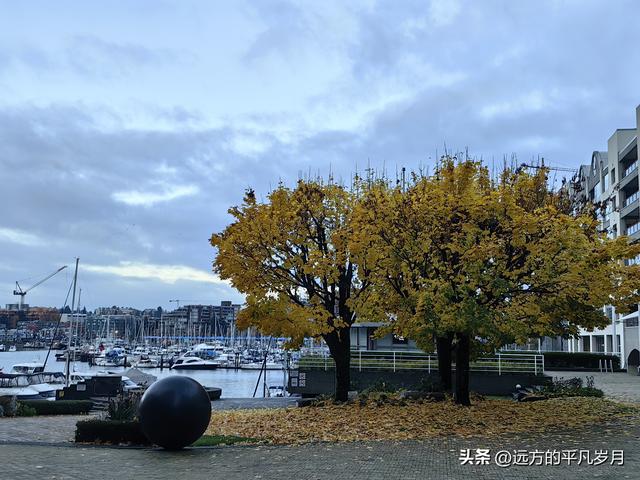 温哥华游记（六）