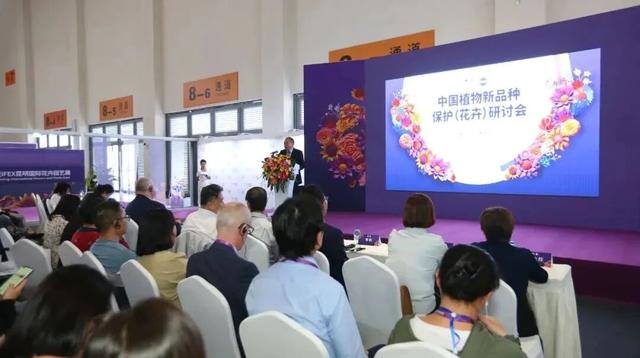 一站式享受精彩 昆明花展参观全攻略 | 动态
