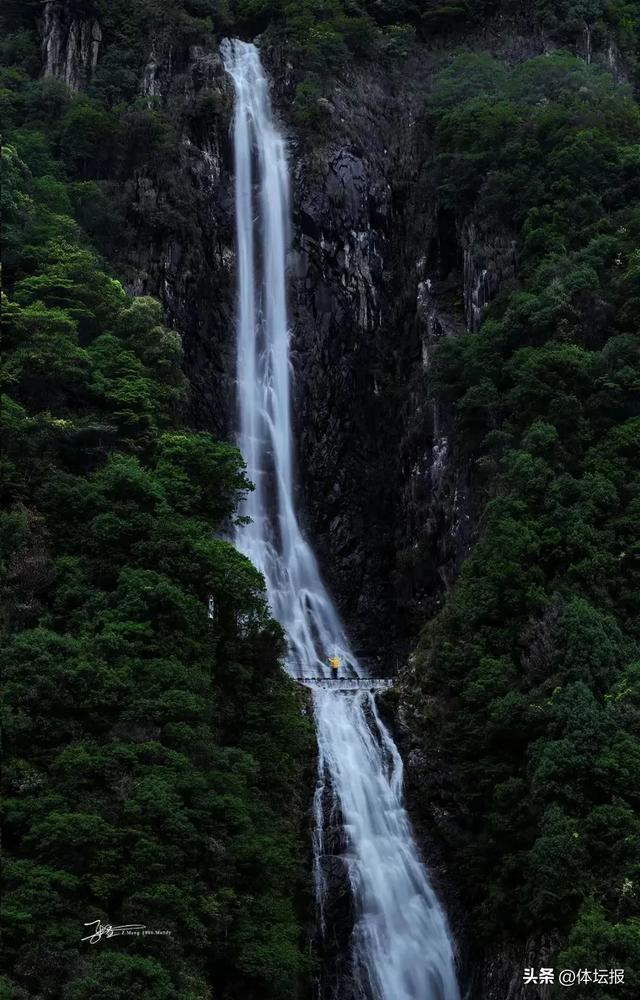 球票别扔！平阳给球迷开挂了：看浙BA+逛非遗市集+游景区，三倍快乐锁死→