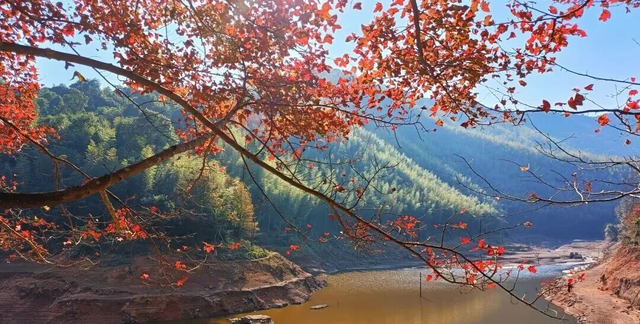 给你个准信！韶关森林红！红！红啦~