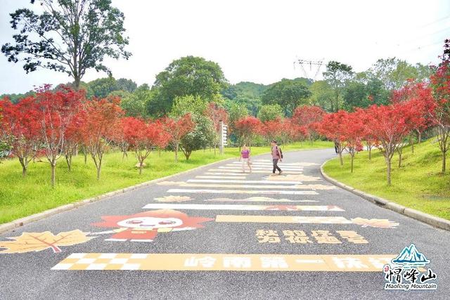 燃情全运，红动湾区，帽峰山第六届红枫观赏季盛大开幕