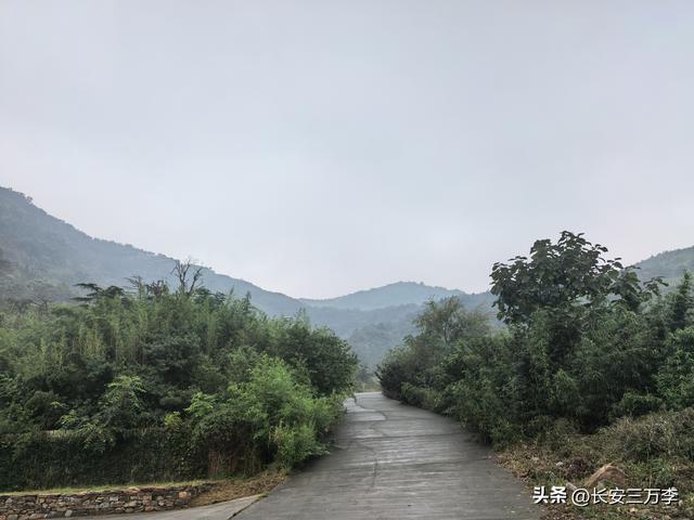 北上大草原第2站：山东日照