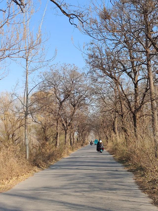 记录德州：岔河河堤上的大集，人山人海，异常热闹