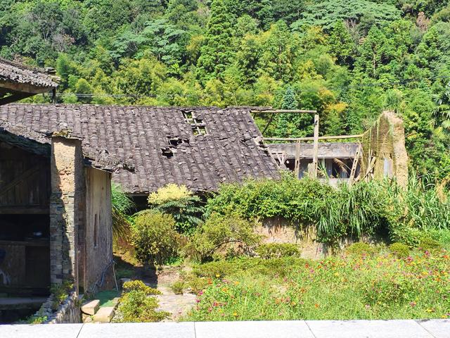 福建 · 福州 · 大湖 · 一村一品：岭头村(2025·7·28～8·1)