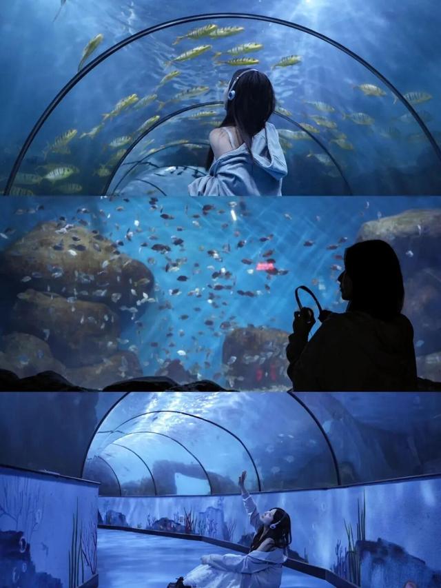 山东这座宝藏小城，坐拥中国四大名楼之一！苏轼、秦始皇都为它打call！