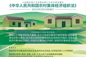 村集体成员开始确认录入系统，如何确认有实例了，3个条件需满足图片