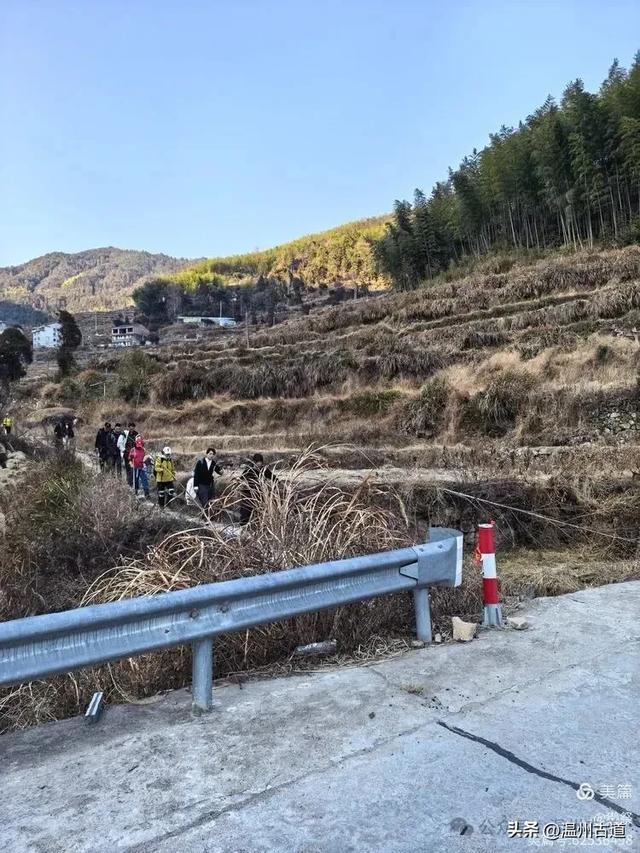 邂逅2026年的第一场醉美雾凇!温州四海山的雾凇美爆了!