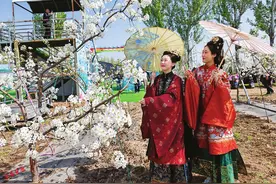 “大美小店 梨韵飘香”首届梨花文化节盛大开幕 精彩活动持续至4月18日图片