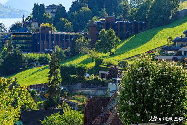 欧游杂记（5）‖ 齿轮火车几上几下瑞吉山，缆车凌空飞跃韦吉斯