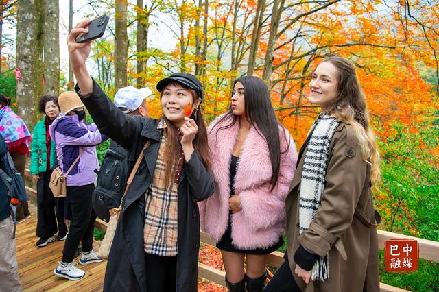 多图 | 红叶遍山野 赏秋正当时 光雾山红叶进入最佳观赏期