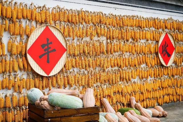 9月23日九砂晒秋开启，邂逅多彩秋日丨有一种团圆在徽州