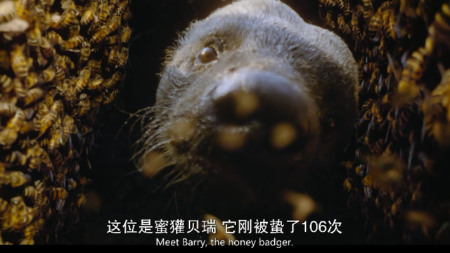 内娱男星讲荤段子，居然拿下豆瓣8.9