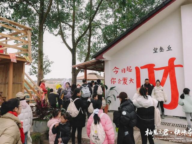 3000余组家庭赴约！文君山野美食文化季燃动暖冬