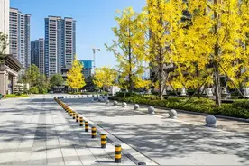 苏州，上海多地出现“洗房”，很多父母都慌了，不少家庭受到影响图片