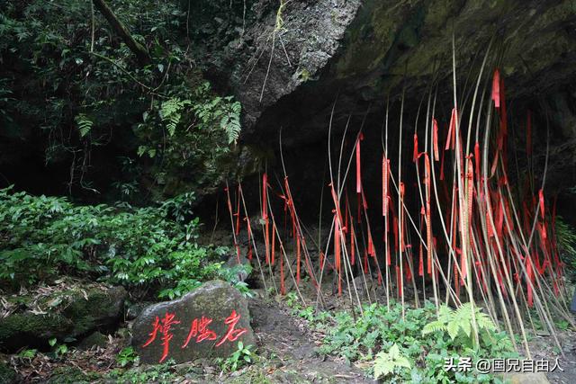 “渝黔生物基因库”黑山谷游记