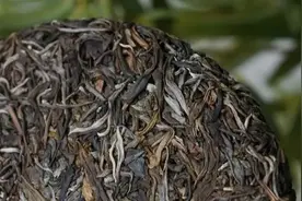 古树茶和台地茶有啥区别？一篇文章全搞明白！图片