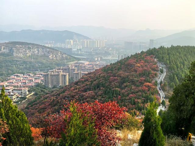 醉染蚰蜒山