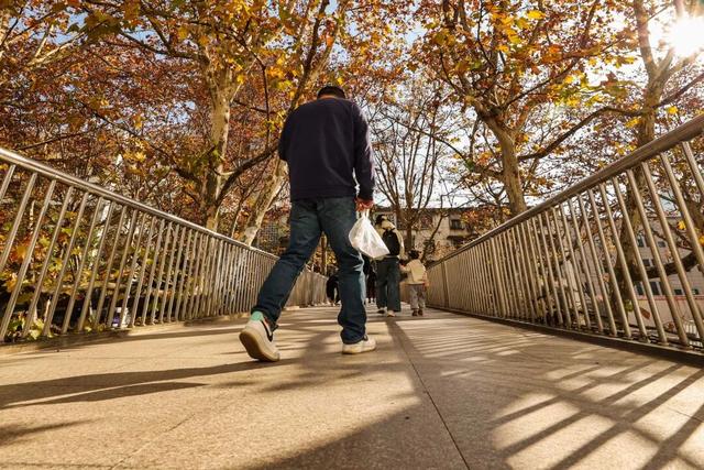 梧桐为笺，车流作墨——北京路写下一封贵阳版的“冬日情书”