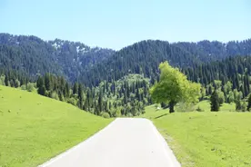 那拉提景区：自驾游全面实名，严打黄牛！图片