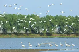 国务院批复同意《湖北省国土空间规划（2021—2035年）》，支持武汉都市圈同城化发展图片