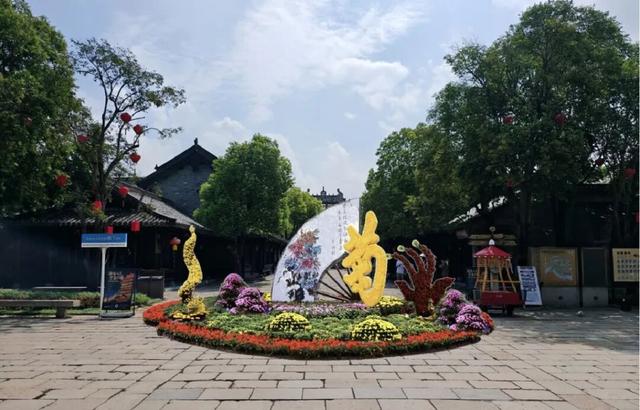 【金秋盛宴】国庆相约台儿庄古城，菊花展即将惊艳绽放！
