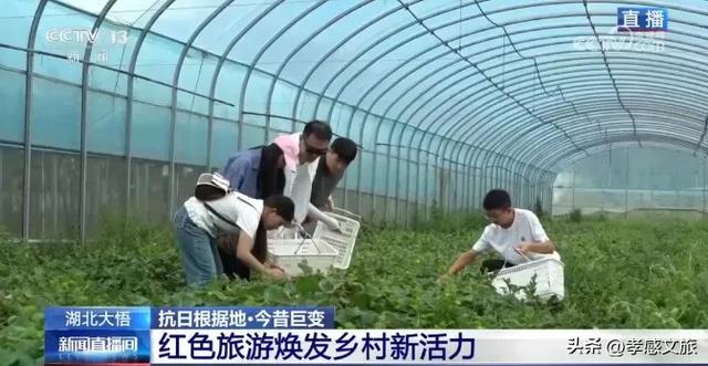 5分18秒!央视直播聚焦孝感这里...