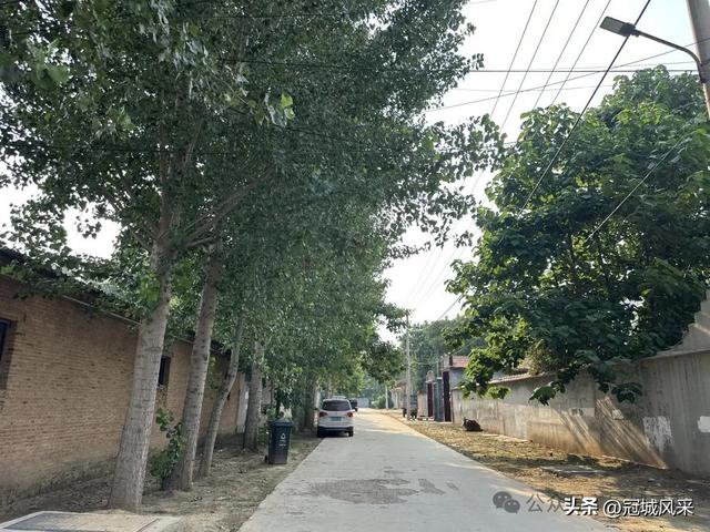 冠县乡韵·辛集镇丁刘八寨