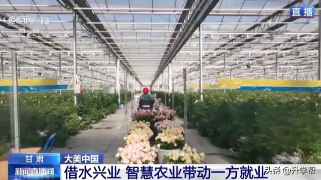 日产30多万支玫瑰销往海内外，多亏了这项水利工程！