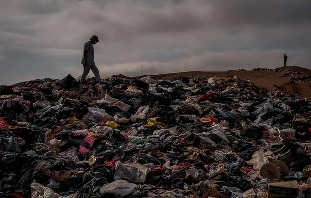 多国损失高达百亿，联合要求中国废除禁令，温铁军：轮不到你发言