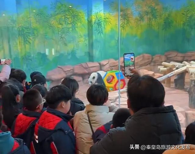 秦皇岛元旦喜迎“开门红”,文旅数据出炉!