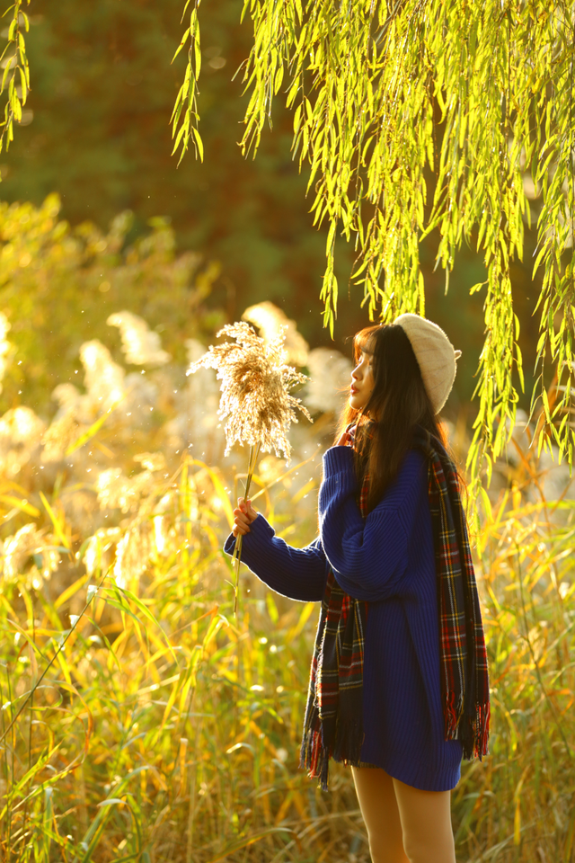 烟台秋日绝色盛宴筹备中，走！寻秋去！
