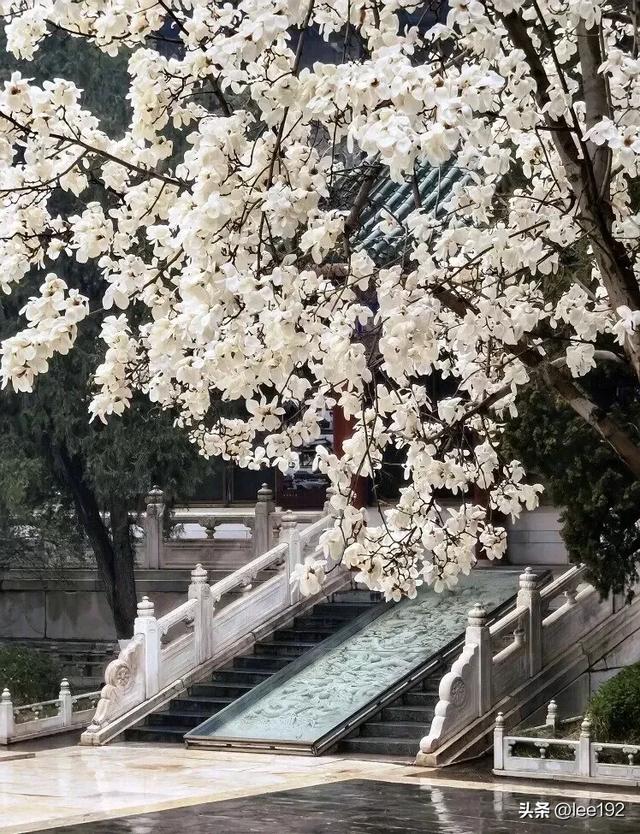 细赏王府系列之—雨中协和(49)《13》