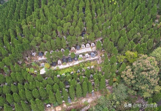 重磅！2026殡葬新规3月30日落地！这5大变化家家都要知道！