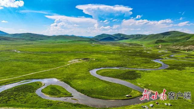 18℃的清凉秘境——碌曲县郭莽湿地夏日生态掠影