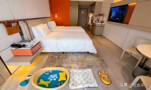 当萌宠邂逅桃花源 平谷区文旅消费券邀您共赴冬日之约