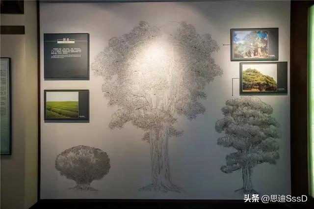 国家一级博物馆之124 中国茶叶博物馆