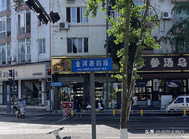 成都坐地铁最新赏花地，近百亩金色花田，超级惊艳，不要门票！