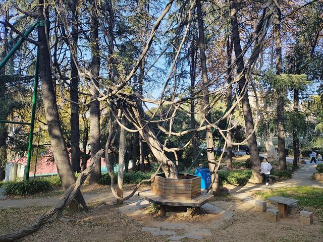 鄂渝行第八天：漫游大武汉