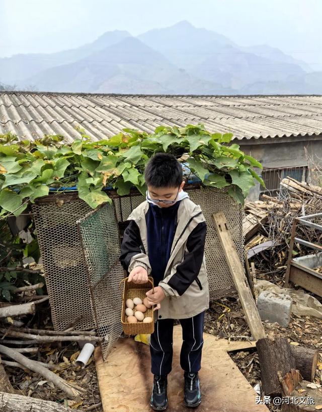 李子柒式的诗意栖居，赞皇也有！
