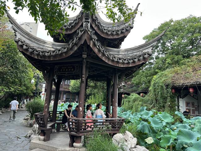 CityWalk湖州·遇见最江南｜循着文脉浅步慢行