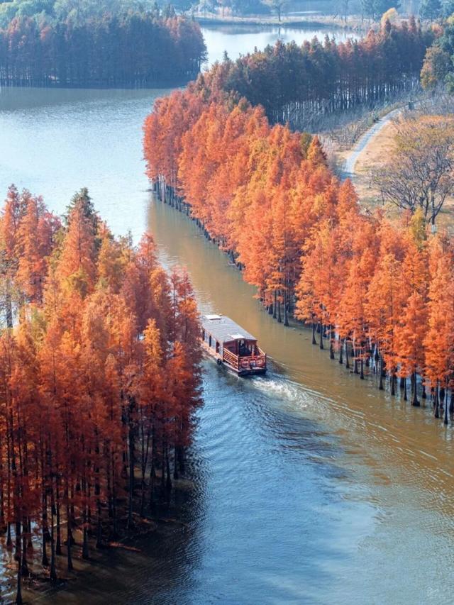 苏州处处的皆景！美！美！美！